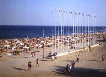 neptun-flags-on-beach.jpg (8142 bytes)